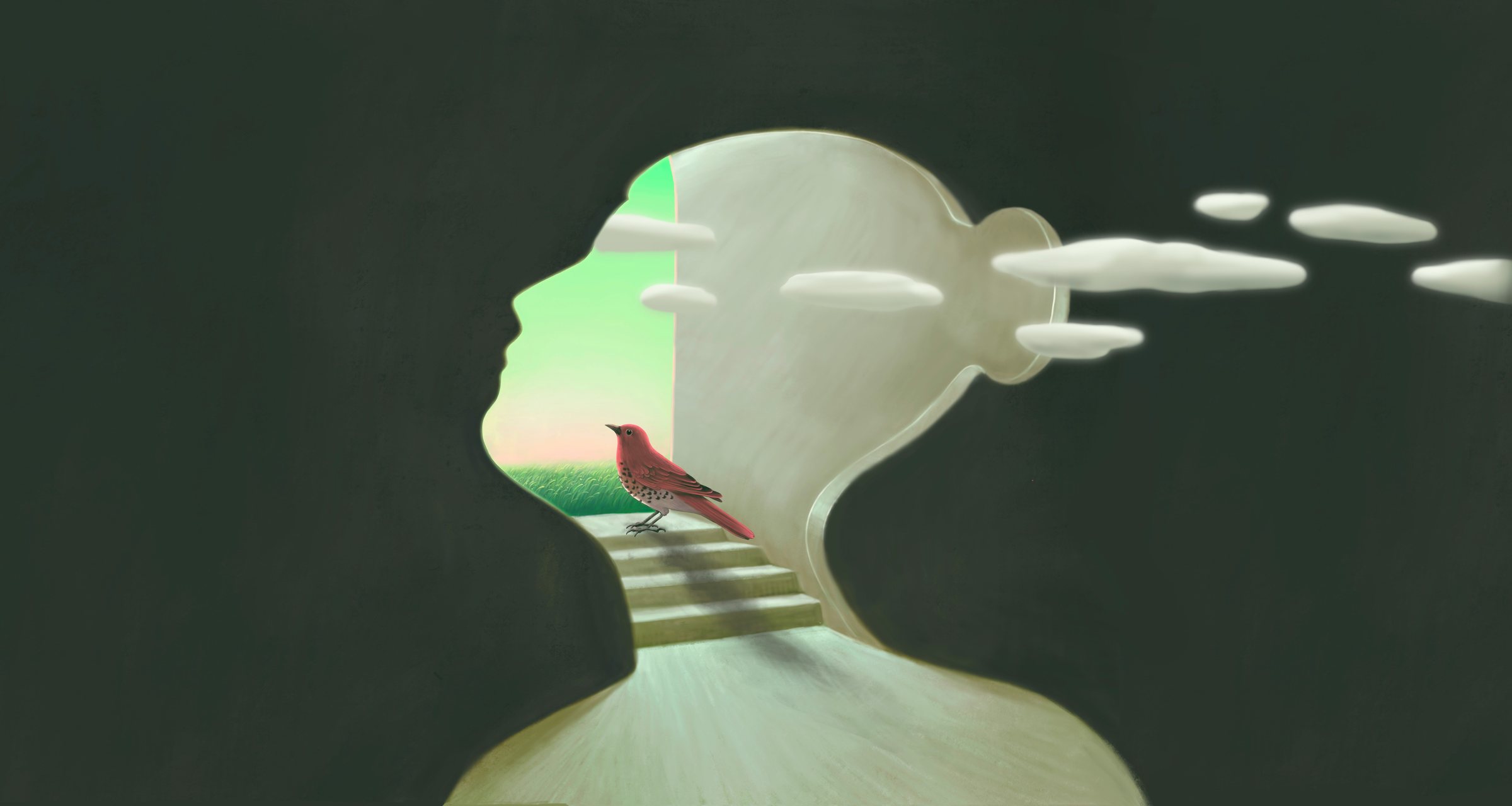 A head in silhouette opening onto a green field, with a bird on the steps and clouds passing through